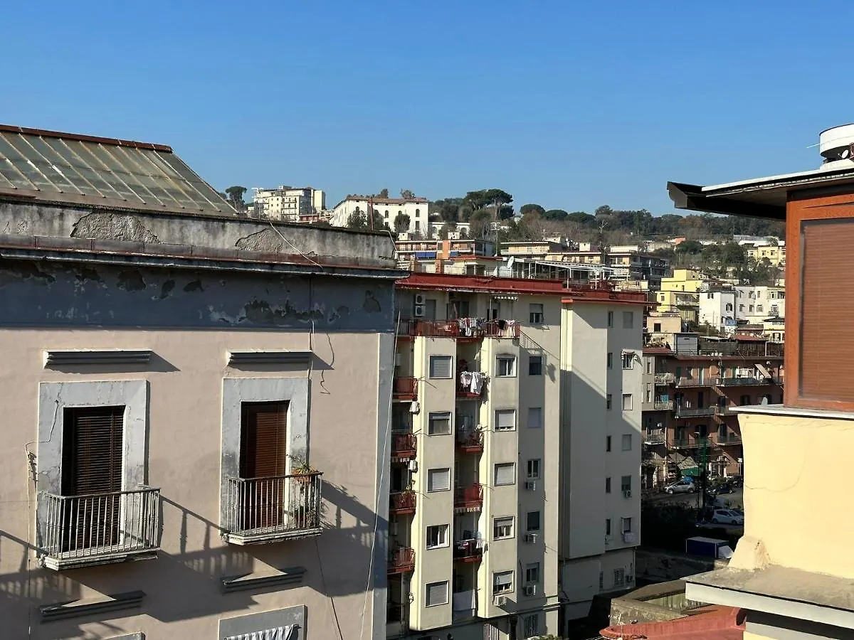 Naples Home 49 0*,
